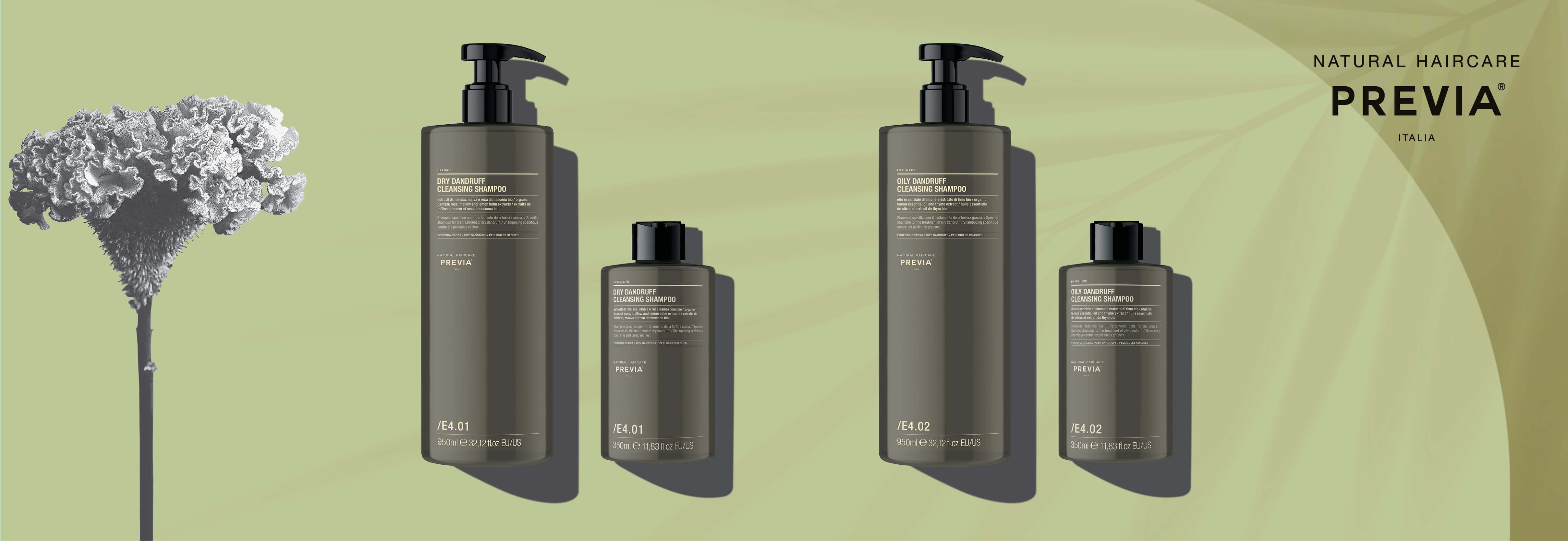 WEB IMAGE PREVIA_DANDRUFF